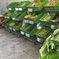 استندو شلف تره بار