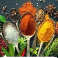 فرصت شغلی برای بانوان