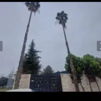 فروش-زمین-شهرکی