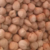 نخودسفیددرجه یک