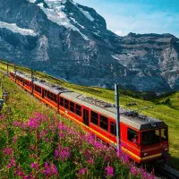 اتوبوس VIP و قطار لوکس برای همه مسیرها