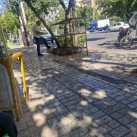 شاطربربری