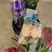 گل رز