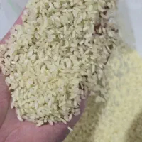 برنج کامفیروز
