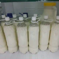 فروش ماست و دوغ محلی