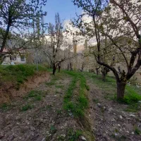 معاوضه-باغ-جاده-چالوس-با-واحد-آپارتمان
