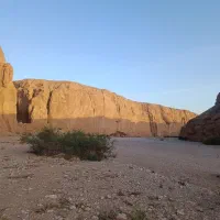 جذب نیرو پروژه عمرانی