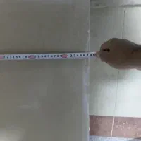 هر درب چوبی  خام1/3000