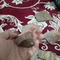 فسیل|کلکسیون اشیاء عتیقه|شیروان (خراسان), |دیوار