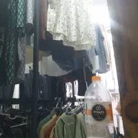 رگال