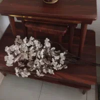 سه شاخه گل بدون گلدون