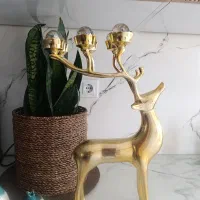 شمعدان گوزن