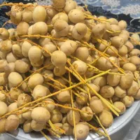 خارک برحی
