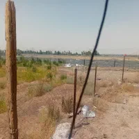 باغچه لنگرود