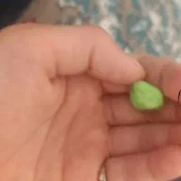 سنگ رنگی