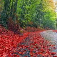 اوقات فراغت طبیعت گردی
