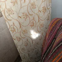 دو جفت پشتی