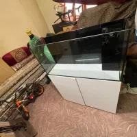 اکواریوم اب شور اکواریوم سامپ اسکیمر ابشور  ریملس