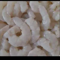 میگو عمده