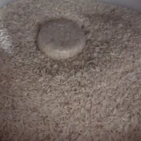 فروش برنج محلی خوش بو وخوش پخت