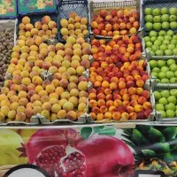 نیروی کار