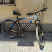 دوچرخه جاینت