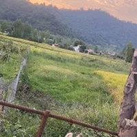 فروش زمین مزروعی