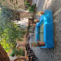 نیروی کار ساده