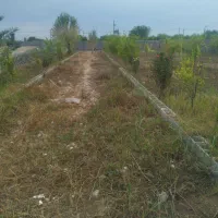 فروش باغ 1000متری