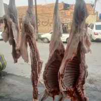 سلام|خوردنی و آشامیدنی|اهواز, منبع اب|دیوار
