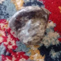 سنگ زیبا با جذب آهنروبا