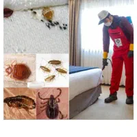 سمپاشی سم پاشی ارگانیک واصلی بدونه واسطــه تضمینی