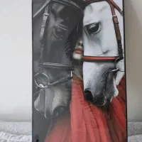 دو تابلو عکس روی شاسی چوبی با موضوع اسب