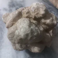 سنگ|کلکسیون و سرگرمی|مشهد, باغون آباد|دیوار