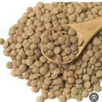 عدس ریز