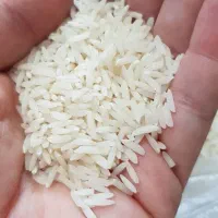 برنج هاشمی