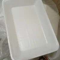 دیس فوم یک بار مصرف