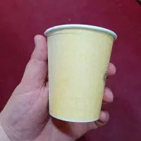 یکبار مصرف کاغدی