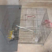 قفس بزرگ،متوسط،کوچک