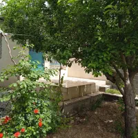 اجاره باغچه ویلایی ساعتی، روزانه و هفتگی