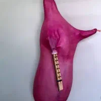 نی انبان