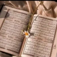 سرکتاب