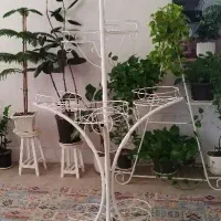 استند گل