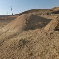 کاه کندم خرمنکوب ریز درجه یک