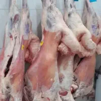 نیروی آقا جهت کار در قصابی کبابی