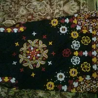 ترکمنی جلیقه  و دارایی