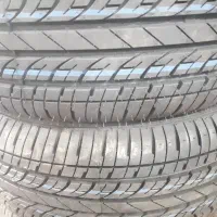 لاستیک دولتی