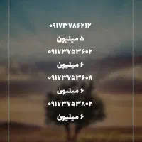 ۰۹۱۷۳۷۸۶۲۱۲