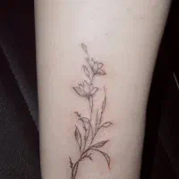 تتو ۵۰%تخفیف ویژه