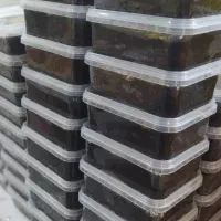 پخش حلوا سیاه اردبیل با بهترین کیفیت